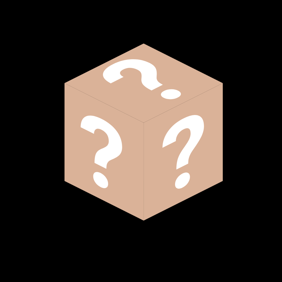 MYSTERY BAG