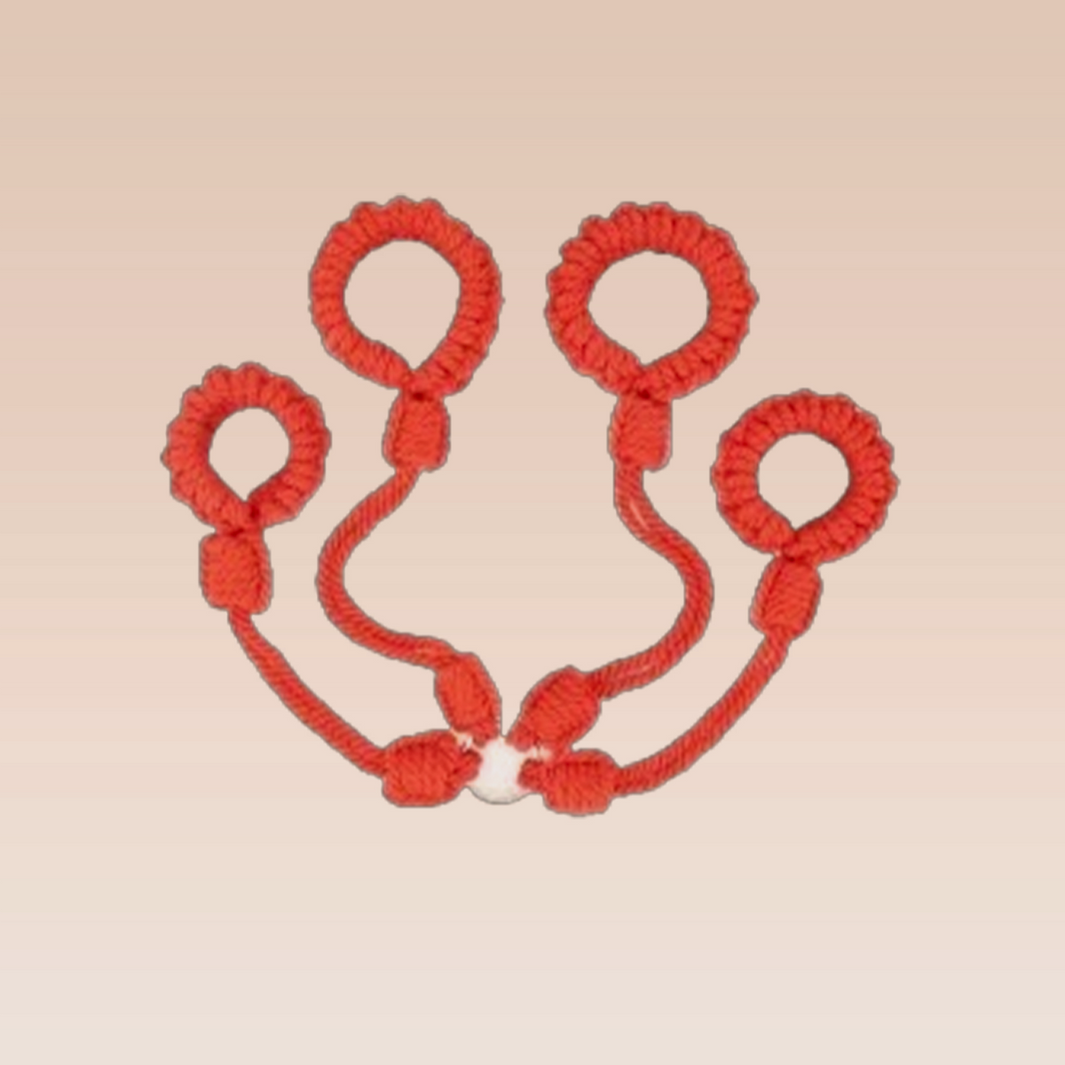 CRIMSON BIND